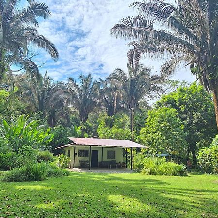 Four Monkeys Eco Lodge Jungle & Beach - The House Cabo Matapalo 외부 사진