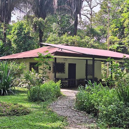 Four Monkeys Eco Lodge Jungle & Beach - The House Cabo Matapalo 외부 사진
