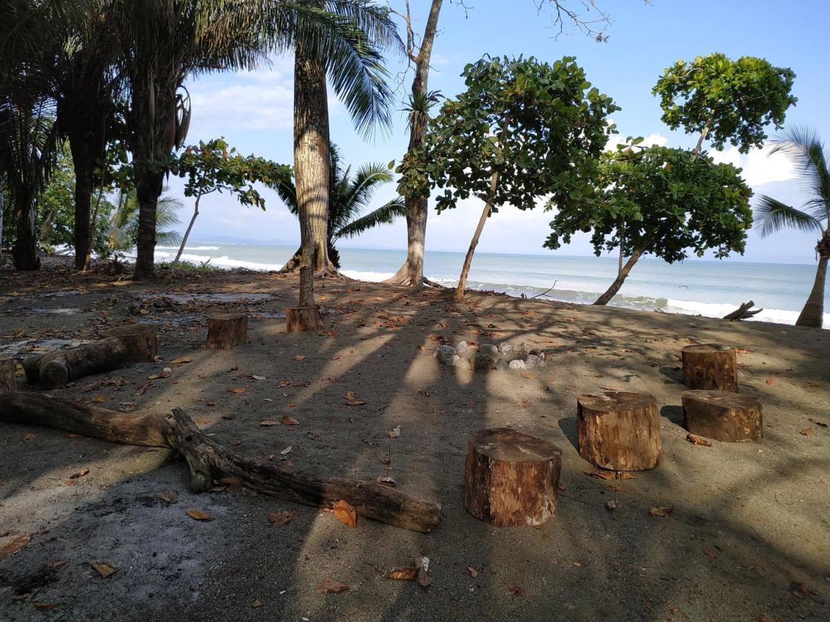 Four Monkeys Eco Lodge Jungle & Beach - The House Cabo Matapalo 외부 사진