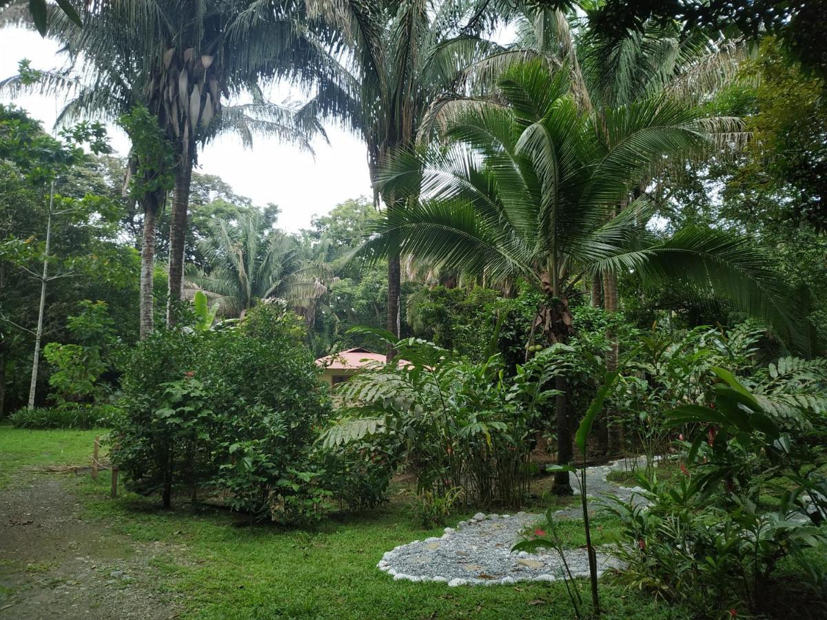 Four Monkeys Eco Lodge Jungle & Beach - The House Cabo Matapalo 외부 사진