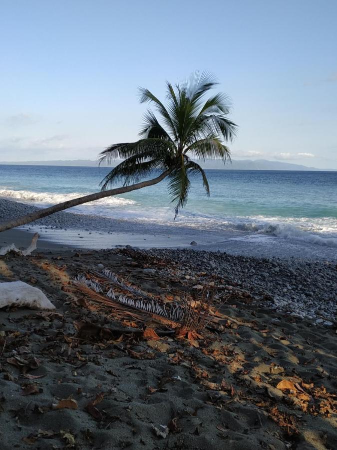 Four Monkeys Eco Lodge Jungle & Beach - The House Cabo Matapalo 외부 사진