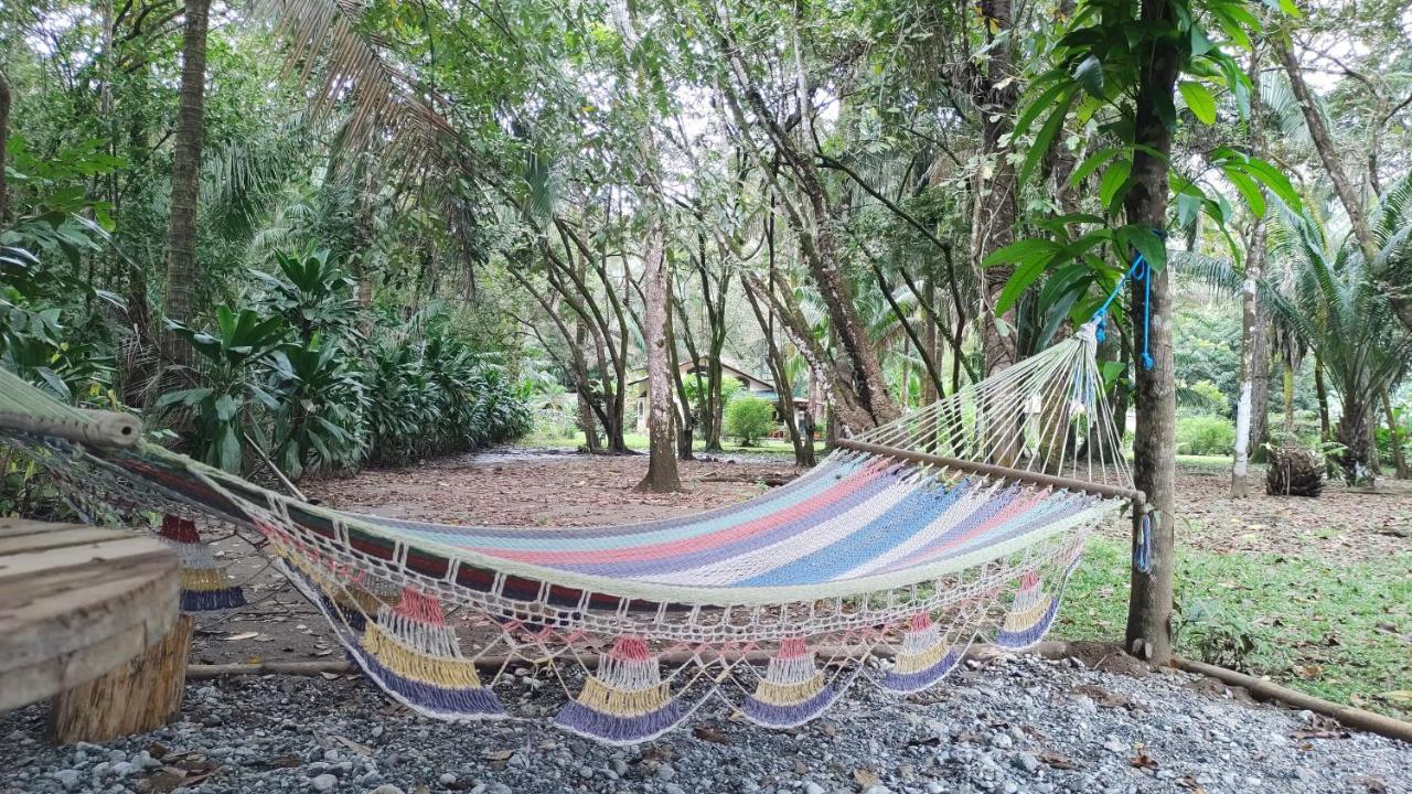 Four Monkeys Eco Lodge Jungle & Beach - The House Cabo Matapalo 외부 사진