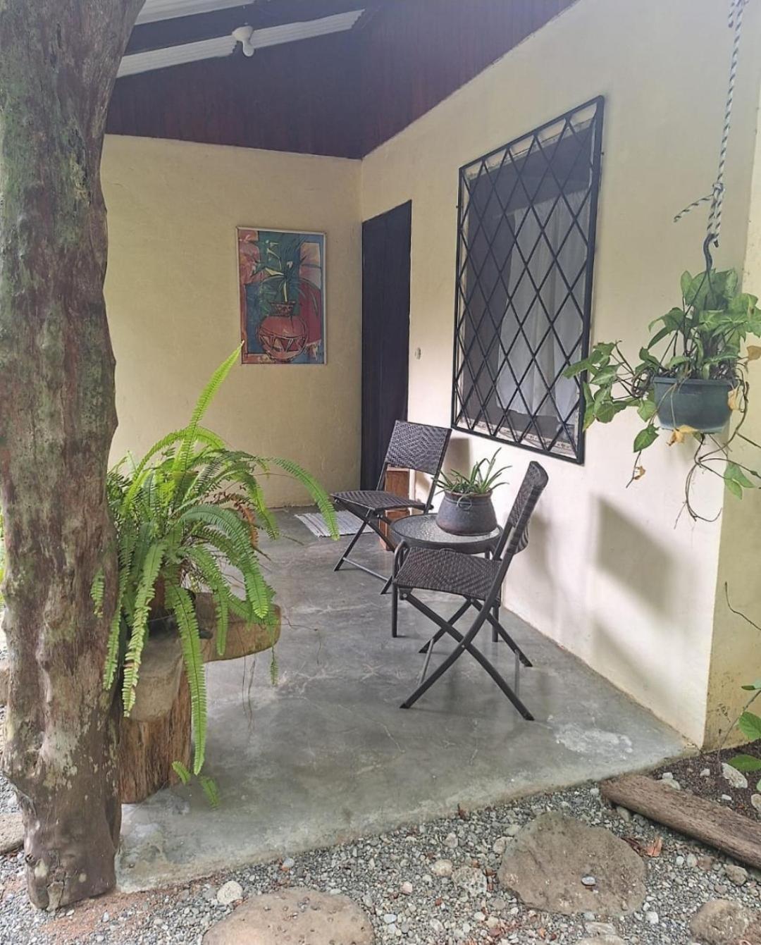 Four Monkeys Eco Lodge Jungle & Beach - The House Cabo Matapalo 외부 사진