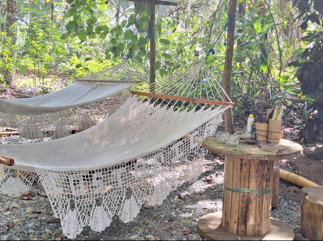 Four Monkeys Eco Lodge Jungle & Beach - The House Cabo Matapalo 외부 사진