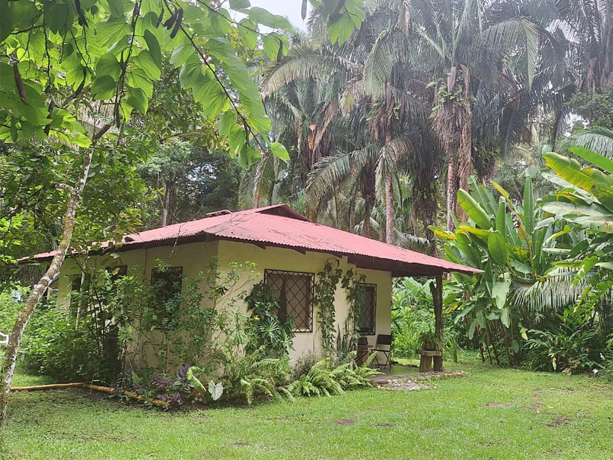 Four Monkeys Eco Lodge Jungle & Beach - The House Cabo Matapalo 외부 사진