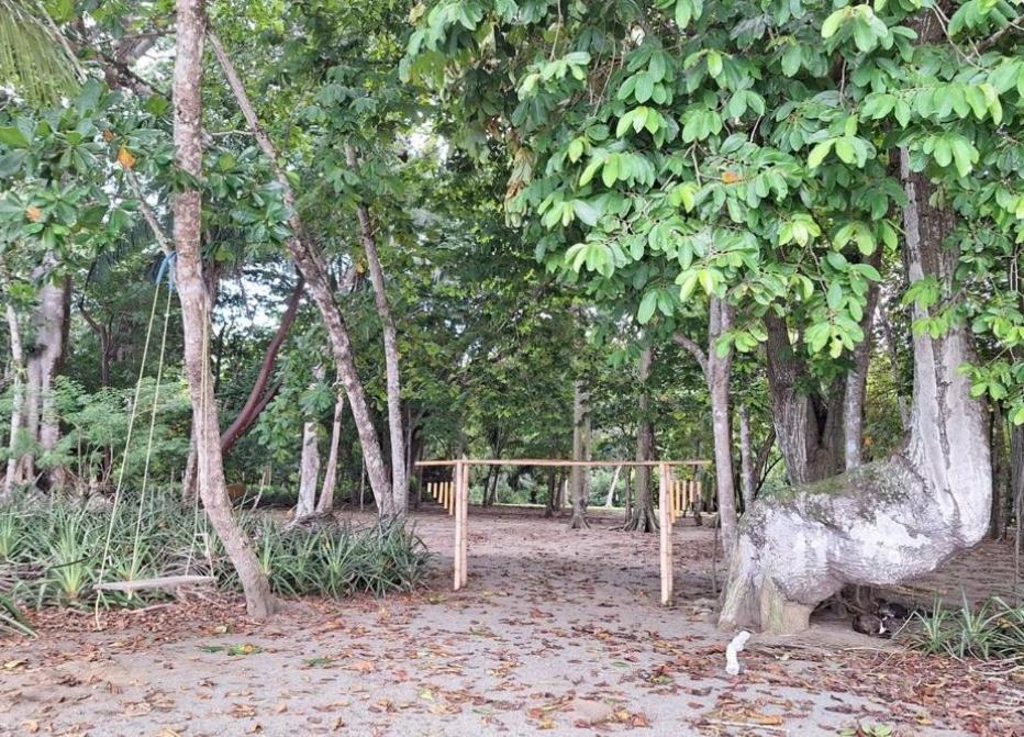 Four Monkeys Eco Lodge Jungle & Beach - The House Cabo Matapalo 외부 사진