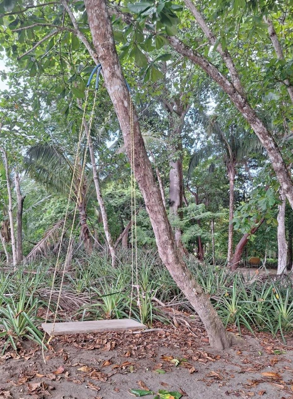Four Monkeys Eco Lodge Jungle & Beach - The House Cabo Matapalo 외부 사진
