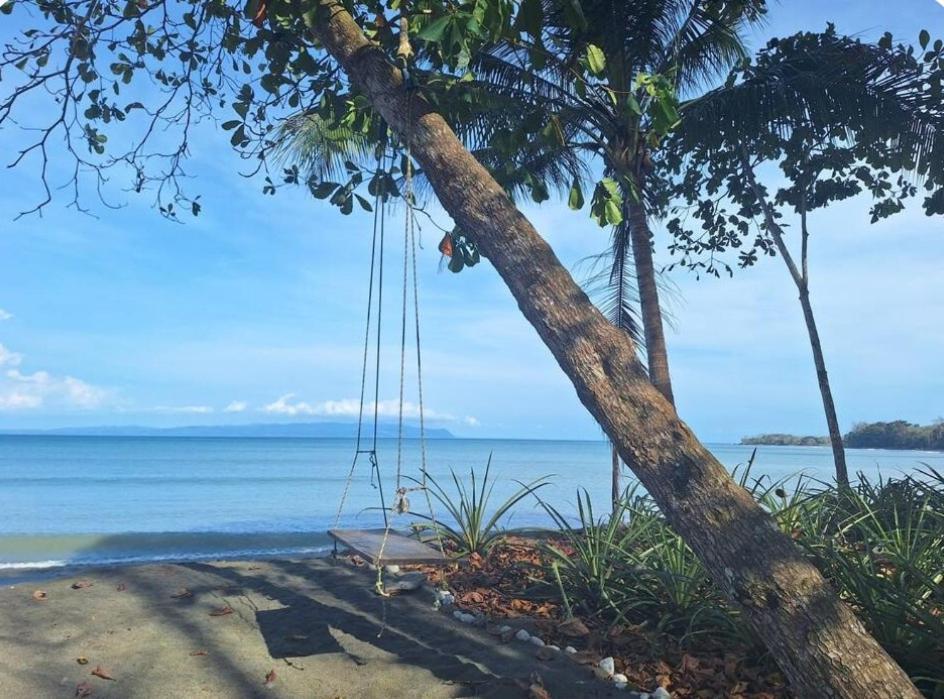 Four Monkeys Eco Lodge Jungle & Beach - The House Cabo Matapalo 외부 사진