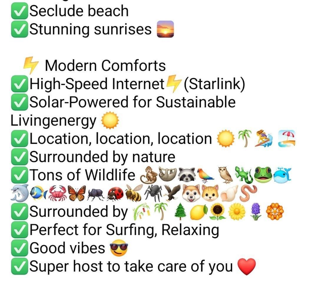 Four Monkeys Eco Lodge Jungle & Beach - The House Cabo Matapalo 외부 사진