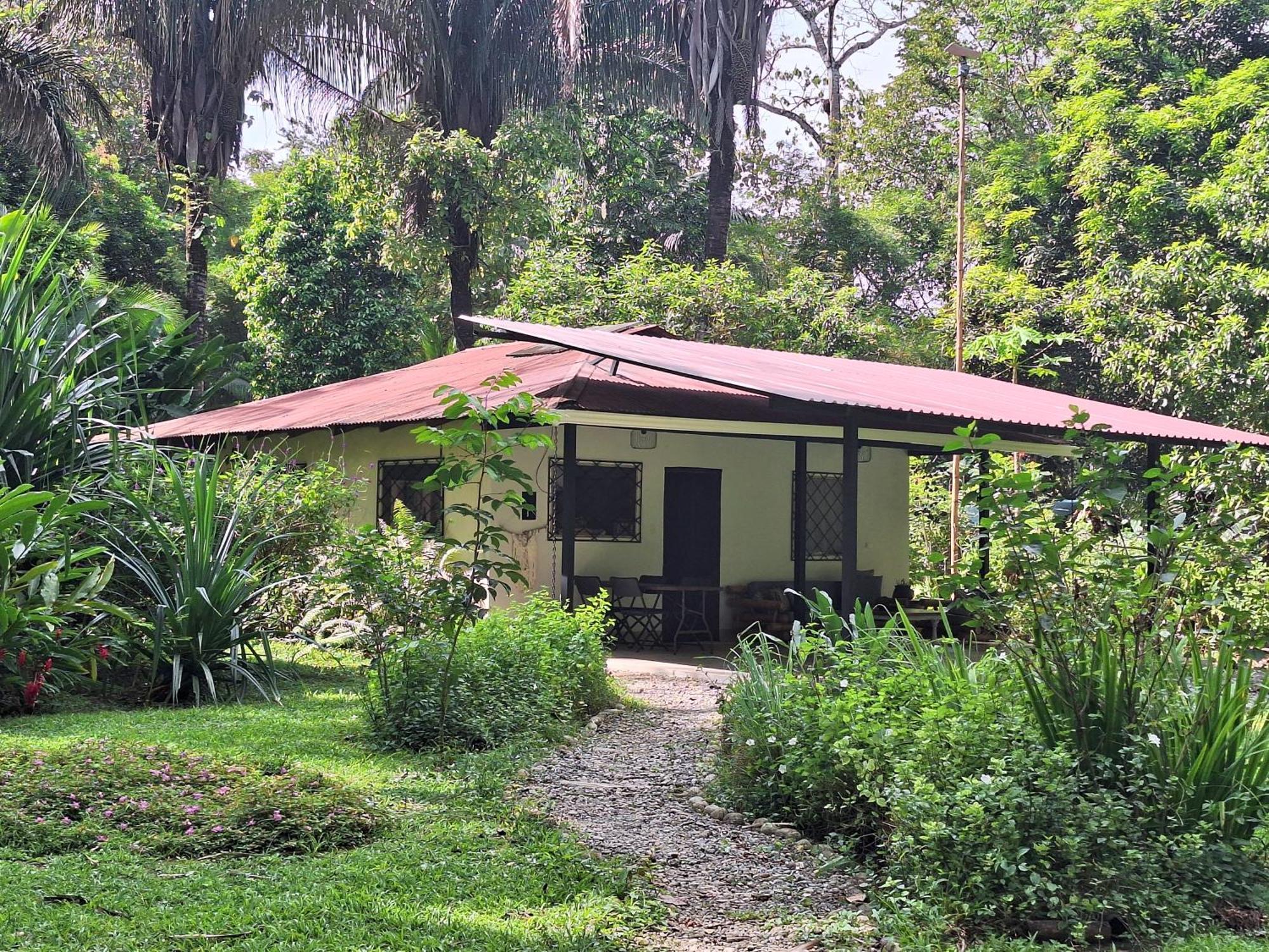 Four Monkeys Eco Lodge Jungle & Beach - The House Cabo Matapalo 외부 사진