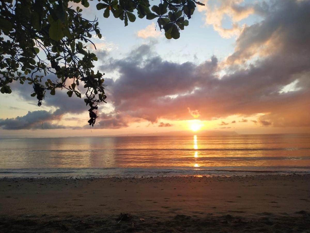 Four Monkeys Eco Lodge Jungle & Beach - The House Cabo Matapalo 외부 사진